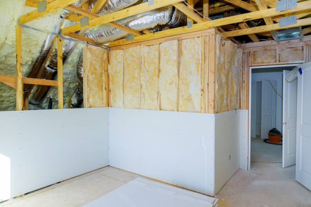 Best Cellulose Insulation  in Somers, WI